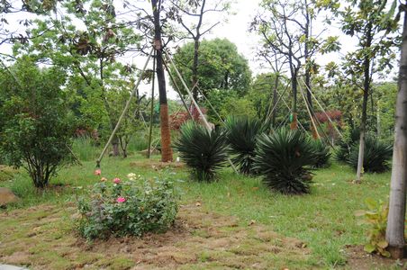 尊龙凯时 - 人生就是搏!