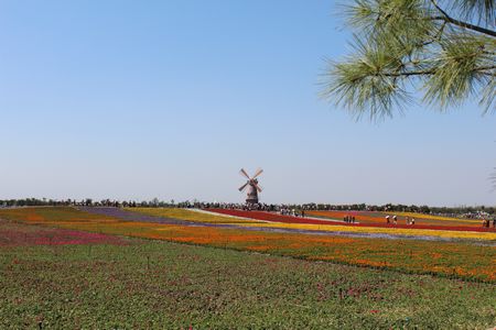 尊龙凯时 - 人生就是搏!