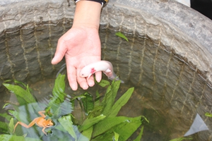 尊龙凯时 - 人生就是搏!