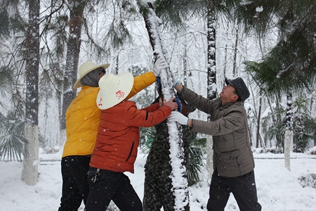 尊龙凯时 - 人生就是搏!