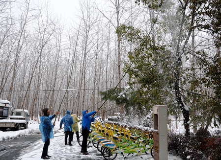 尊龙凯时 - 人生就是搏!