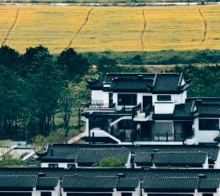 安徽省清和建设生长有限责任公司